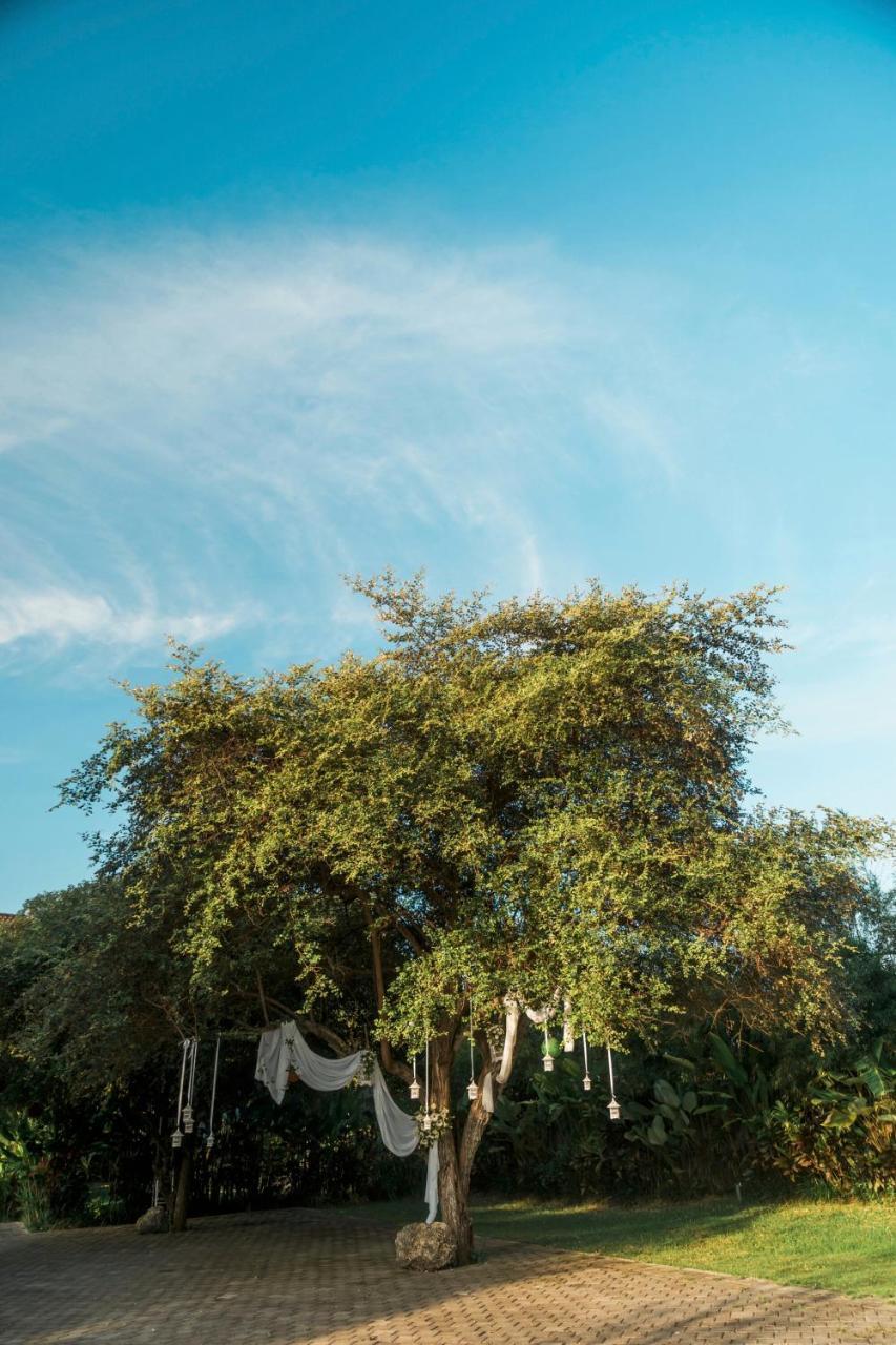 Trumbu Nusa Jimbaran Buitenkant foto